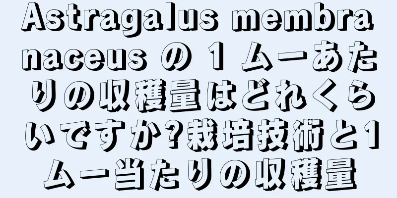 Astragalus membranaceus の 1 ムーあたりの収穫量はどれくらいですか?栽培技術と1ムー当たりの収穫量