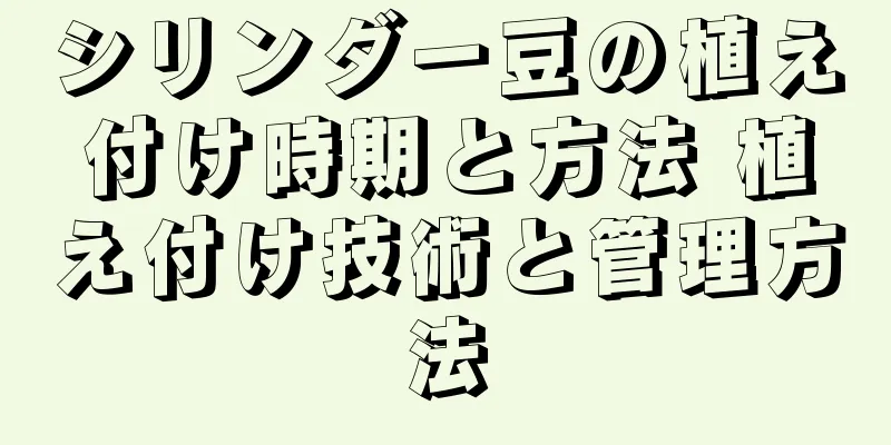 シリンダー豆の植え付け時期と方法 植え付け技術と管理方法