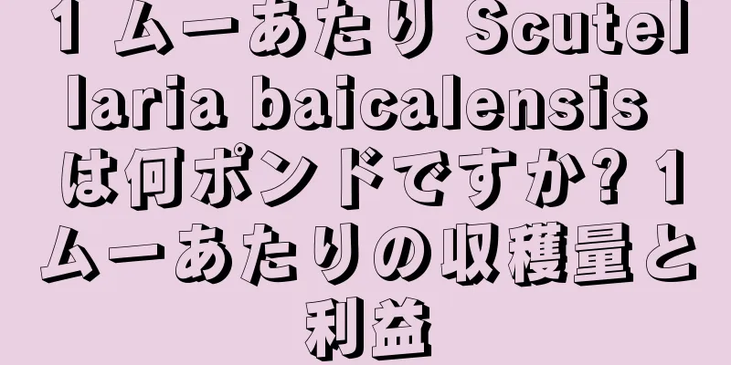 1 ムーあたり Scutellaria baicalensis は何ポンドですか? 1ムーあたりの収穫量と利益