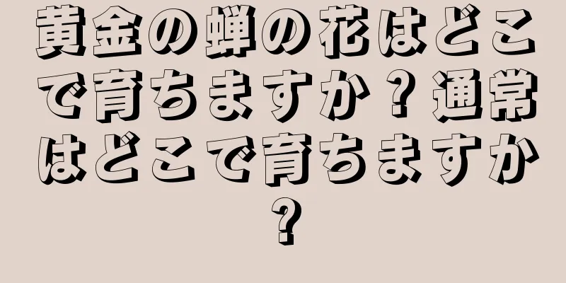 黄金の蝉の花はどこで育ちますか？通常はどこで育ちますか?