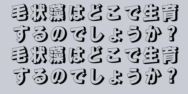 毛状藻はどこで生育するのでしょうか？毛状藻はどこで生育するのでしょうか？