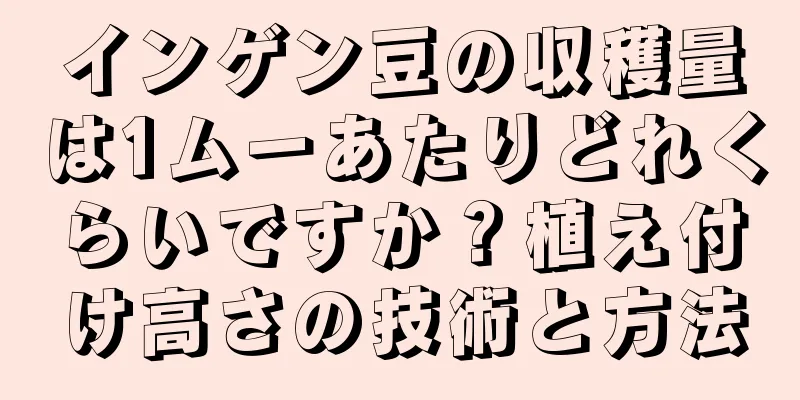 インゲン豆の収穫量は1ムーあたりどれくらいですか？植え付け高さの技術と方法