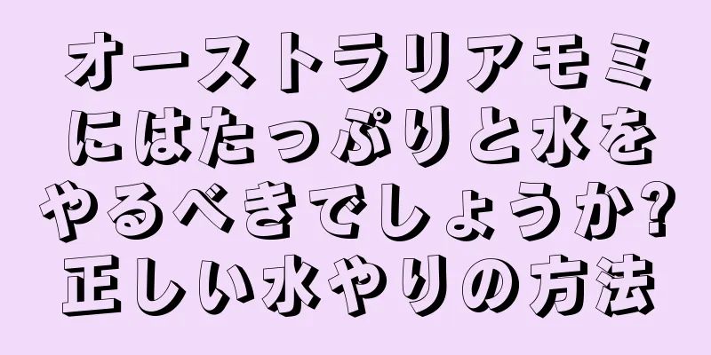 オーストラリアモミにはたっぷりと水をやるべきでしょうか?正しい水やりの方法