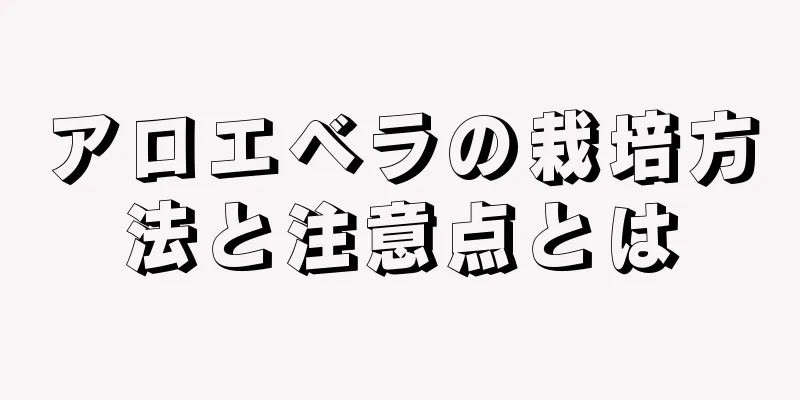 アロエベラの栽培方法と注意点とは