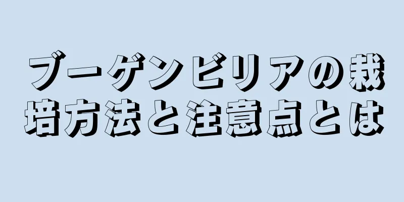 ブーゲンビリアの栽培方法と注意点とは