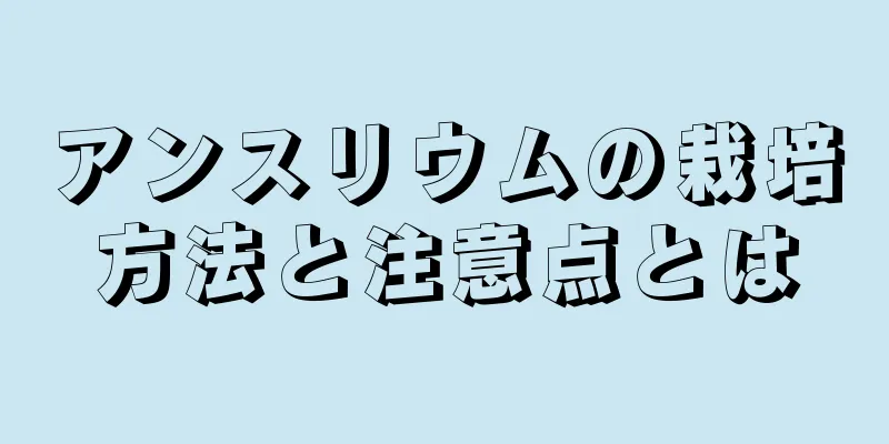 アンスリウムの栽培方法と注意点とは