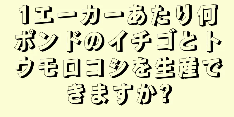 1エーカーあたり何ポンドのイチゴとトウモロコシを生産できますか?