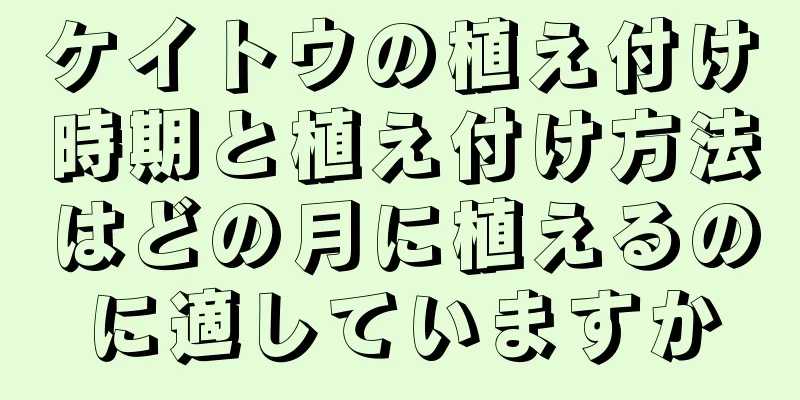 ケイトウの植え付け時期と植え付け方法はどの月に植えるのに適していますか