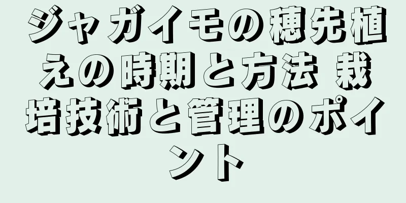 ジャガイモの穂先植えの時期と方法 栽培技術と管理のポイント