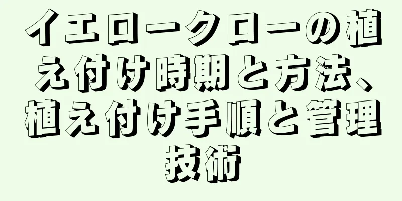 イエロークローの植え付け時期と方法、植え付け手順と管理技術