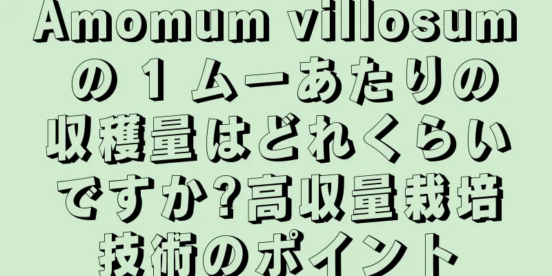 Amomum villosum の 1 ムーあたりの収穫量はどれくらいですか?高収量栽培技術のポイント