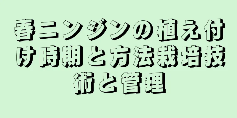 春ニンジンの植え付け時期と方法栽培技術と管理
