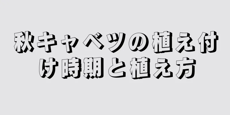 秋キャベツの植え付け時期と植え方
