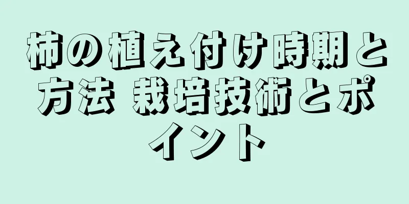 柿の植え付け時期と方法 栽培技術とポイント