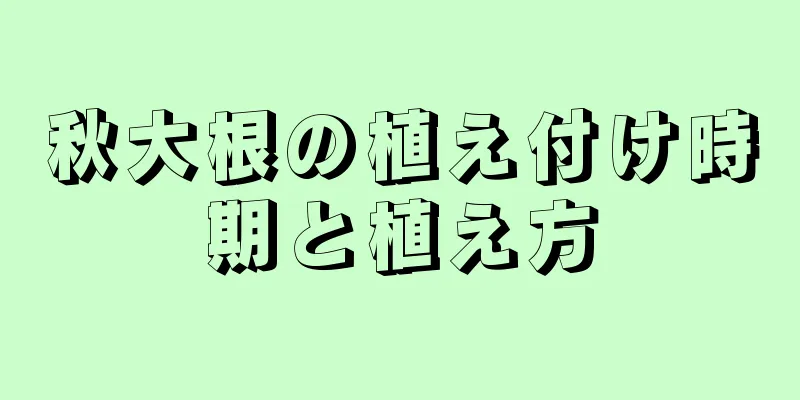 秋大根の植え付け時期と植え方