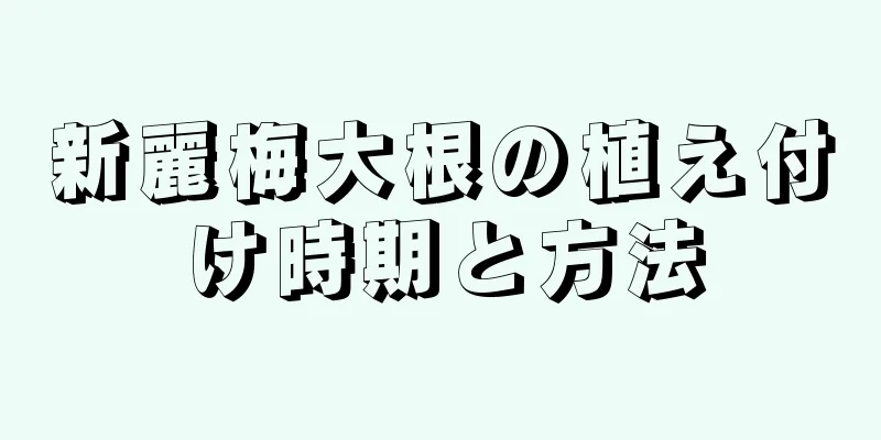 新麗梅大根の植え付け時期と方法