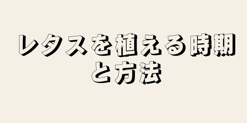 レタスを植える時期と方法