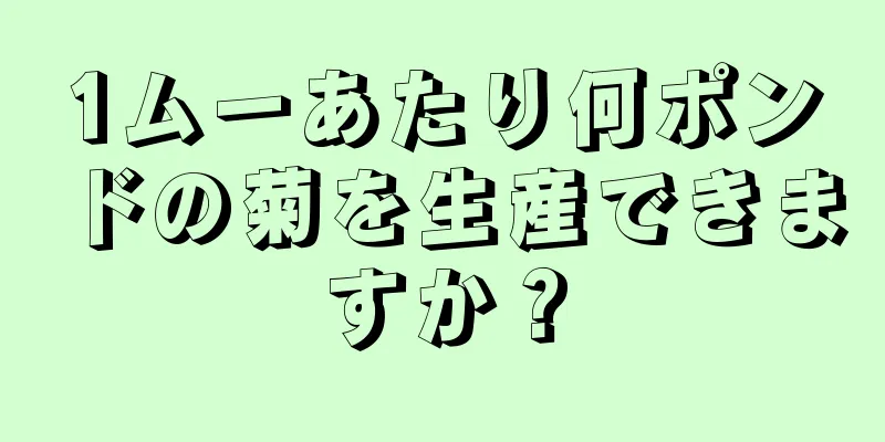 1ムーあたり何ポンドの菊を生産できますか？