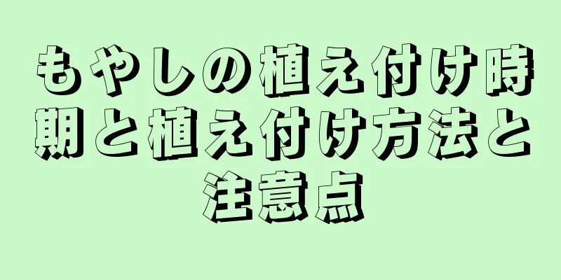 もやしの植え付け時期と植え付け方法と注意点