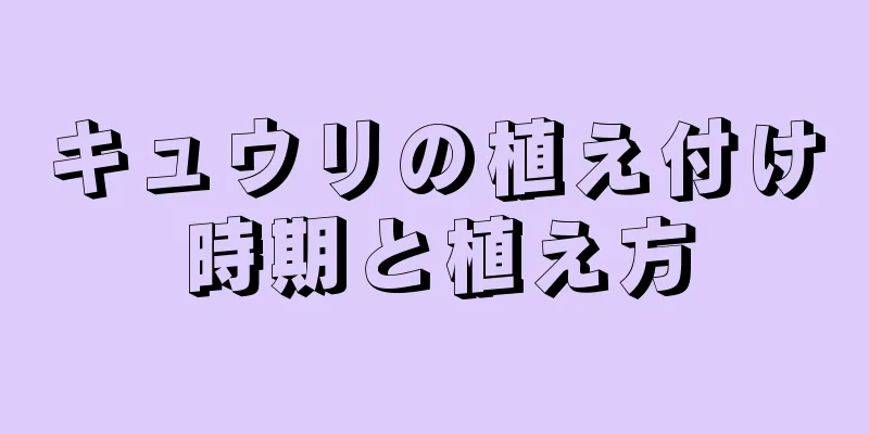 キュウリの植え付け時期と植え方