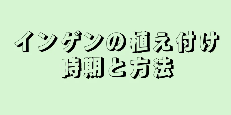 インゲンの植え付け時期と方法