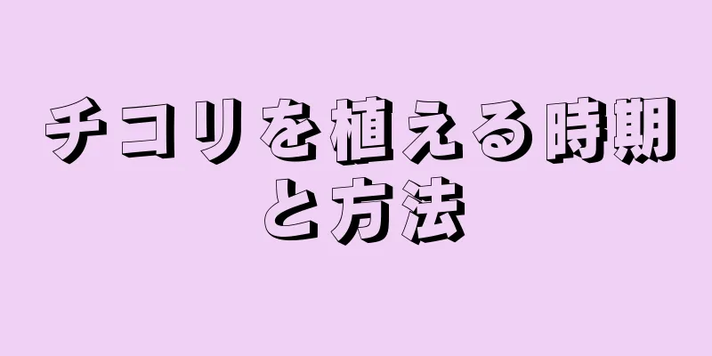 チコリを植える時期と方法