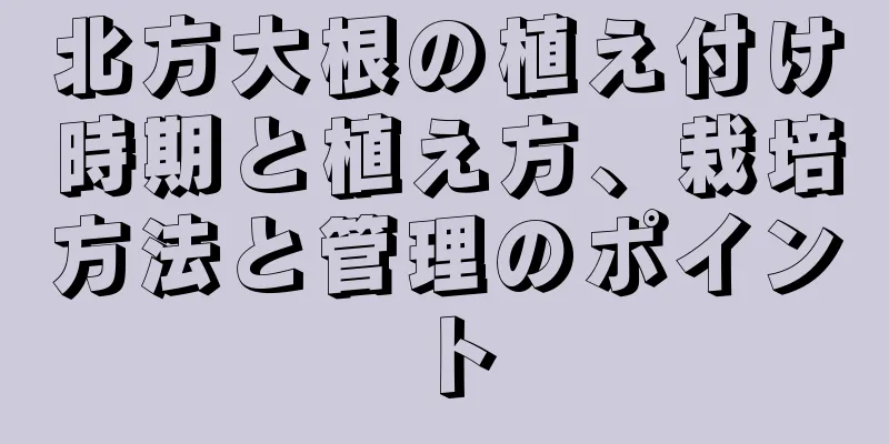 北方大根の植え付け時期と植え方、栽培方法と管理のポイント