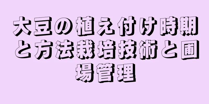 大豆の植え付け時期と方法栽培技術と圃場管理