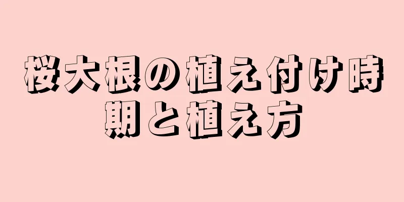 桜大根の植え付け時期と植え方