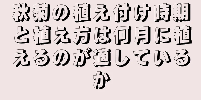 秋菊の植え付け時期と植え方は何月に植えるのが適しているか