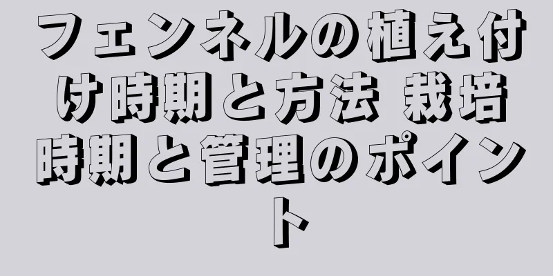 フェンネルの植え付け時期と方法 栽培時期と管理のポイント