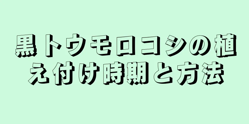 黒トウモロコシの植え付け時期と方法
