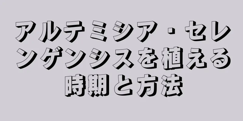 アルテミシア・セレンゲンシスを植える時期と方法