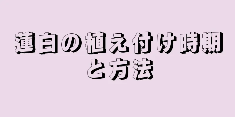 蓮白の植え付け時期と方法