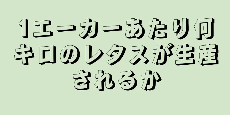1エーカーあたり何キロのレタスが生産されるか