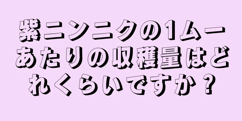 紫ニンニクの1ムーあたりの収穫量はどれくらいですか？