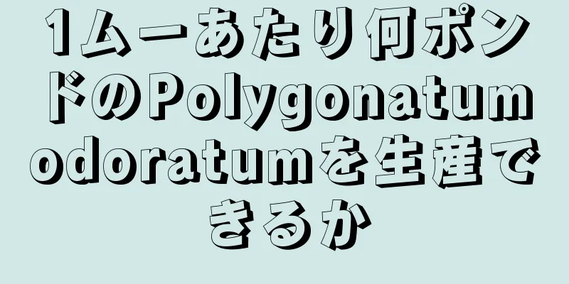 1ムーあたり何ポンドのPolygonatum odoratumを生産できるか