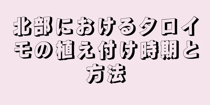北部におけるタロイモの植え付け時期と方法