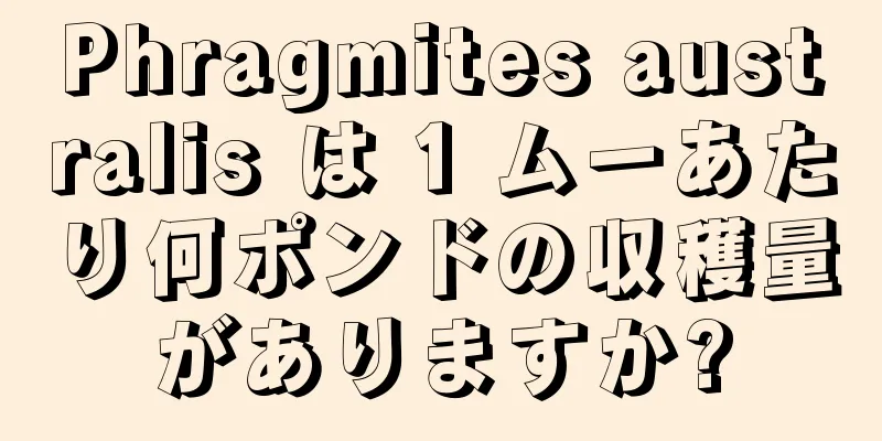 Phragmites australis は 1 ムーあたり何ポンドの収穫量がありますか?