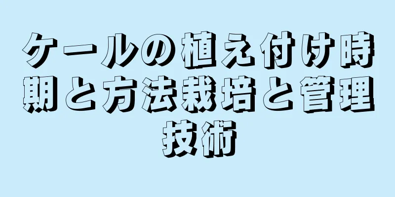 ケールの植え付け時期と方法栽培と管理技術