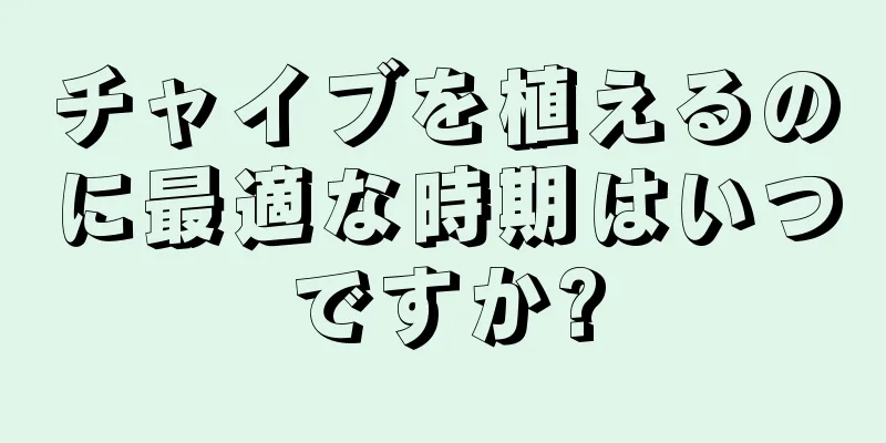 チャイブを植えるのに最適な時期はいつですか?