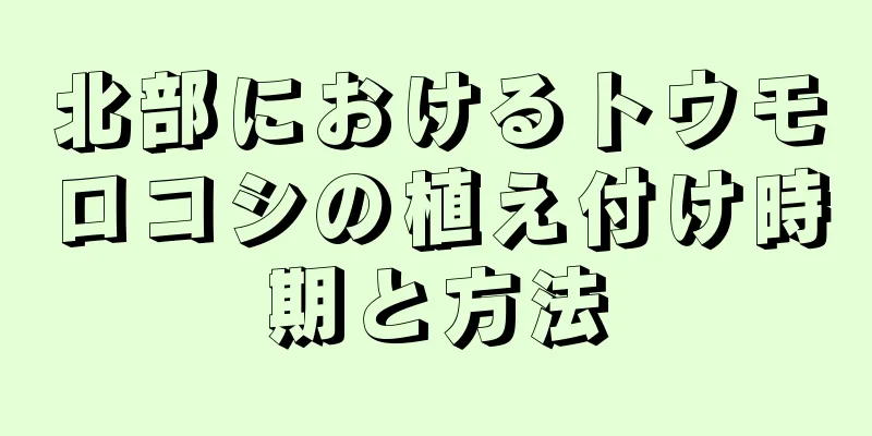 北部におけるトウモロコシの植え付け時期と方法