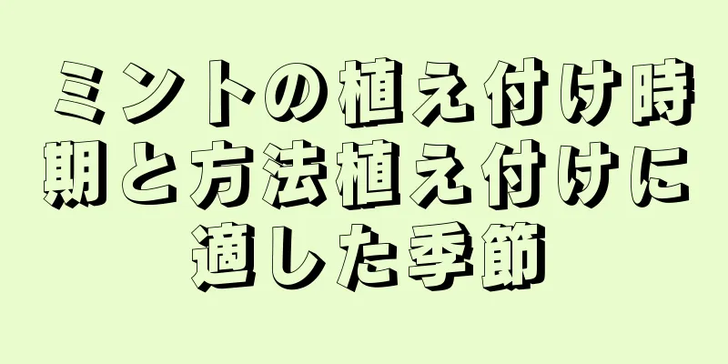 ミントの植え付け時期と方法植え付けに適した季節