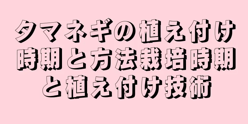 タマネギの植え付け時期と方法栽培時期と植え付け技術