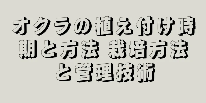 オクラの植え付け時期と方法 栽培方法と管理技術