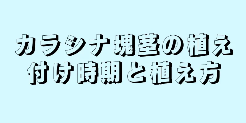 カラシナ塊茎の植え付け時期と植え方