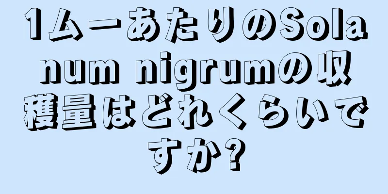 1ムーあたりのSolanum nigrumの収穫量はどれくらいですか?