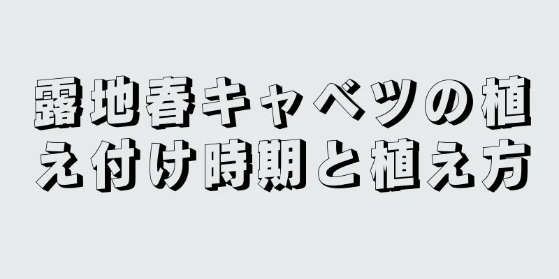 露地春キャベツの植え付け時期と植え方