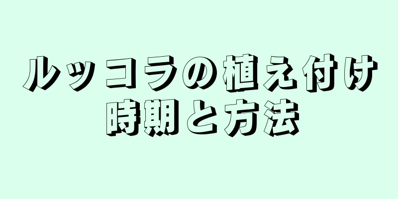 ルッコラの植え付け時期と方法