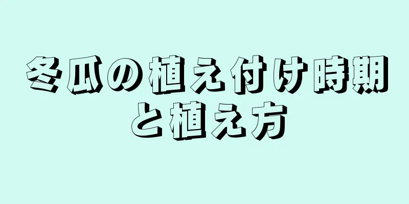 冬瓜の植え付け時期と植え方